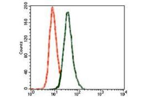 Flow cytometric analysis of SK-N-SH cells using GRIA2 mouse mAb (green) and negative control (red).