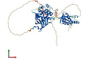 AlphaFold protein structure predicition of Mouse Recombinant Pdpk1 Protein, UniprotID Q9Z2A0