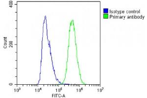 anti-Interferon Induced Transmembrane Protein 5 (IFITM5) (AA 55-83) antibody