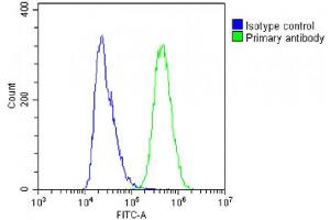 Overlay histogram showing A431 cells stained with C(green line). (IFITM5 anticorps  (AA 55-83))