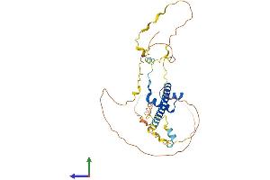 AlphaFold protein structure predicition of Mouse Recombinant Tlx1 Protein, UniprotID P43345