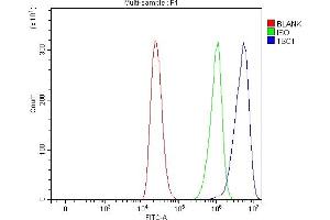 Flow Cytometry analysis of THP-1 cells using anti-Hamartin/TSC1 antibody (ABIN7599499). (TSC1 anticorps  (AA 1-618))