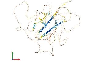 AlphaFold protein structure predicition of Mouse Recombinant Dact1 Protein, UniprotID Q8R4A3