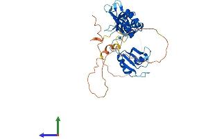 AlphaFold protein structure predicition of Mouse Recombinant Elavl4 Protein, UniprotID Q61701