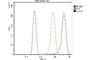 Flow Cytometry analysis of HELA cells using anti-H Cadherin/CDH13 antibody (ABIN7600095).