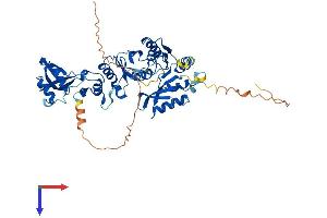 AlphaFold protein structure predicition of Mouse Recombinant Trmt5 Protein, UniprotID Q9D0C4