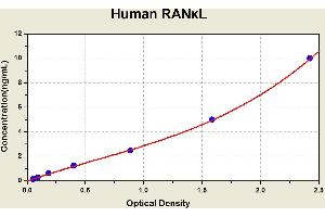 Diagramm of the ELISA kit to detect Human RAN?