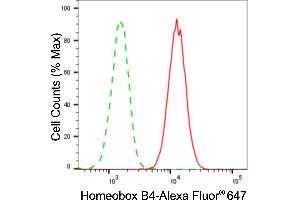 Flow cytometric analysis of homeobox B4 expression in HAP-1 cells using homeobox B4 antibody (ABIN7798992), 1:2,000). (Recombinant HOXB4 anticorps)