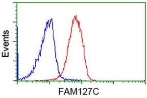 Flow cytometric Analysis of Jurkat cells, using anti-FAM127C antibody (ABIN2454041), (Red), compared to a nonspecific negative control antibody, (Blue). (FAM127C anticorps)
