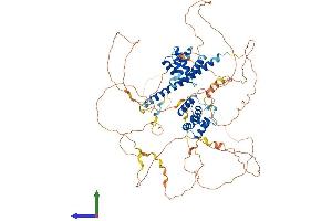 AlphaFold protein structure predicition of Human Recombinant REPS1 Protein, UniprotID Q96D71