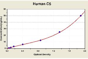 Diagramm of the ELISA kit to detect Human C5with the optical density on the x-axis and the concentration on the y-axis. (C5 Kit ELISA)