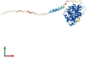 AlphaFold protein structure predicition of Human Recombinant ABHD14A Protein, UniprotID Q9BUJ0
