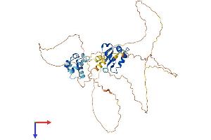 AlphaFold protein structure predicition of Mouse Recombinant Erg Protein, UniprotID P81270