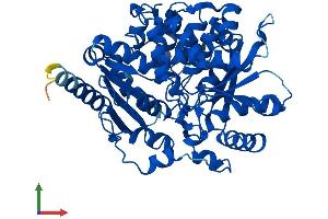 AlphaFold protein structure predicition of Mouse Recombinant Thnsl2 Protein, UniprotID Q80W22