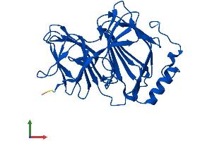 AlphaFold protein structure predicition of Mouse Recombinant Pir Protein, UniprotID Q9D711