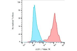 Surface staining (flow cytometry) of GCPII / PSMA using anti-GCPII (GCP-05) PE on LNCaP cell line. (PSMA anticorps  (AA 44-750) (PE))