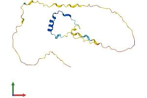 AlphaFold protein structure predicition of Mouse Recombinant Cited4 Protein, UniprotID Q9WUL8