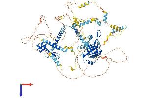 AlphaFold protein structure predicition of Mouse Recombinant Mcm10 Protein, UniprotID Q0VBD2