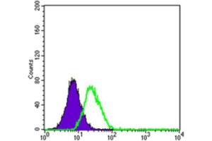 Flow Cytometry (FACS) image for anti-ATP-Binding Cassette, Sub-Family B (MDR/TAP), Member 5 (ABCB5) (AA 481-674) antibody (ABIN1842667)