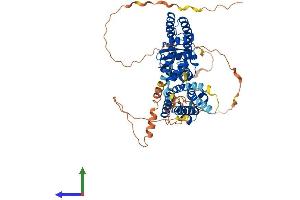 AlphaFold protein structure predicition of Human Recombinant KCNA3 Protein, UniprotID P22001