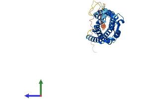 AlphaFold protein structure predicition of Mouse Recombinant C5ar1 Protein, UniprotID P30993