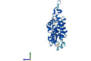 AlphaFold protein structure predicition of Human Recombinant CLIC2 Protein, UniprotID O15247