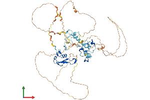 AlphaFold protein structure predicition of Human Recombinant MBD1 Protein, UniprotID Q9UIS9