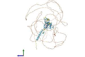 AlphaFold protein structure predicition of Human Recombinant CHAMP1 Protein, UniprotID Q96JM3