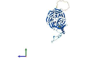 AlphaFold protein structure predicition of Human Recombinant CDC40 Protein, UniprotID O60508