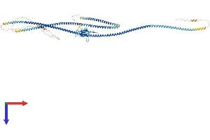 AlphaFold protein structure predicition of Mouse Recombinant Slmap Protein, UniprotID Q3URD3