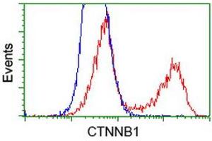 Flow Cytometry (FACS) image for anti-Catenin (Cadherin-Associated Protein), beta 1, 88kDa (CTNNB1) antibody (ABIN1496893)