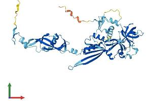 AlphaFold protein structure predicition of Human Recombinant NMD3 Protein, UniprotID Q96D46