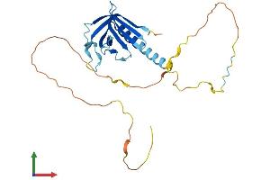 AlphaFold protein structure predicition of Mouse Recombinant Necap2 Protein, UniprotID Q9D1J1