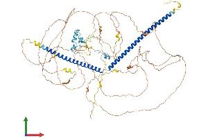 AlphaFold protein structure predicition of Human Recombinant RBBP8 Protein, UniprotID Q99708