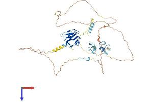 AlphaFold protein structure predicition of Mouse Recombinant Aplf Protein, UniprotID Q9D842