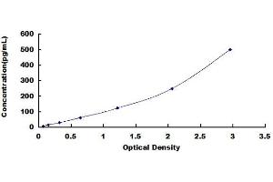Oncostatin M (OSM) ELISA Kit
