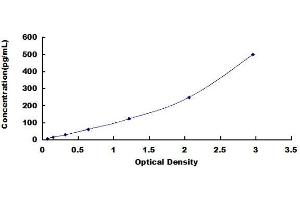 Typical standard curve (Oncostatin M Kit ELISA)