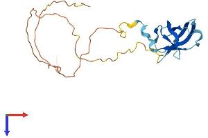 AlphaFold protein structure predicition of Human Recombinant GAR1 Protein, UniprotID Q9NY12