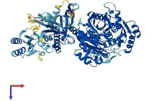 AlphaFold protein structure predicition of Human Recombinant CARNS1 Protein, UniprotID A5YM72