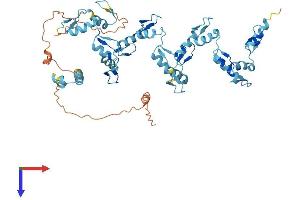AlphaFold protein structure predicition of Human Recombinant ZNF490 Protein, UniprotID Q9ULM2