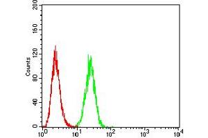 Flow cytometric analysis of Hela cells using BAK1 mouse mAb (green) and negative control (red).
