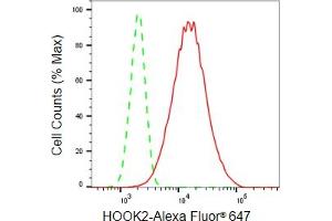 Flow cytometric analysis of HOOK2 expression in HepG2 cells using HOOK2 antibody (ABIN7798999), 1:2,000). (Recombinant HOOK2 anticorps)