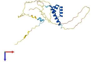 AlphaFold protein structure predicition of Mouse Recombinant Bsx Protein, UniprotID Q810B3