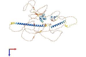 AlphaFold protein structure predicition of Mouse Recombinant Tab2 Protein, UniprotID Q99K90