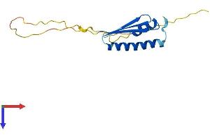 AlphaFold protein structure predicition of Mouse Recombinant Lage3 Protein, UniprotID Q9CR70