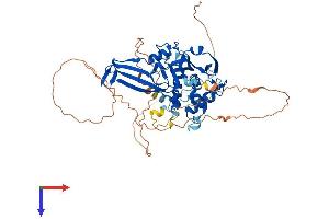 Ubiquitin Specific Peptidase 17-Like Family Member 21 (USP17L21) (AA 1-530) protein (His tag)