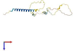 AlphaFold protein structure predicition of Human Recombinant TRAT1 Protein, UniprotID Q6PIZ9