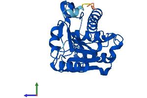 AlphaFold protein structure predicition of Human Recombinant LYPLA2 Protein, UniprotID O95372