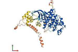 AlphaFold protein structure predicition of Mouse Recombinant Cdk18 Protein, UniprotID Q04899