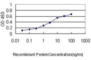 Detection limit for recombinant GST tagged RLBP1 is approximately 0.